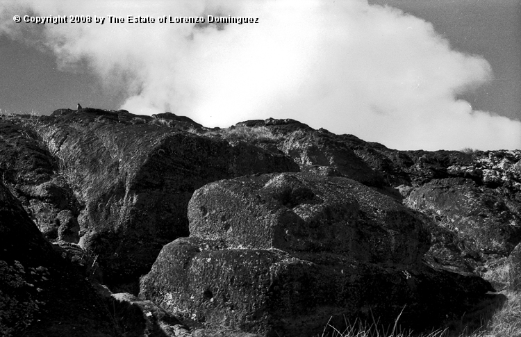 RRI_Cantera_Interior_10.jpg - Easter Island. 1960. Interior quarry of Rano Raraku.